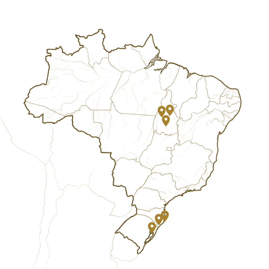 Mapa do Brasil com presença da Vasconcelos no Tocantins e em Santa Catarina